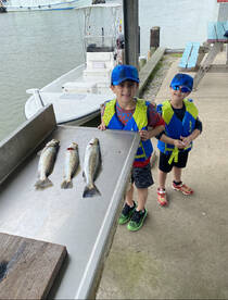 Galveston Report Photo 2