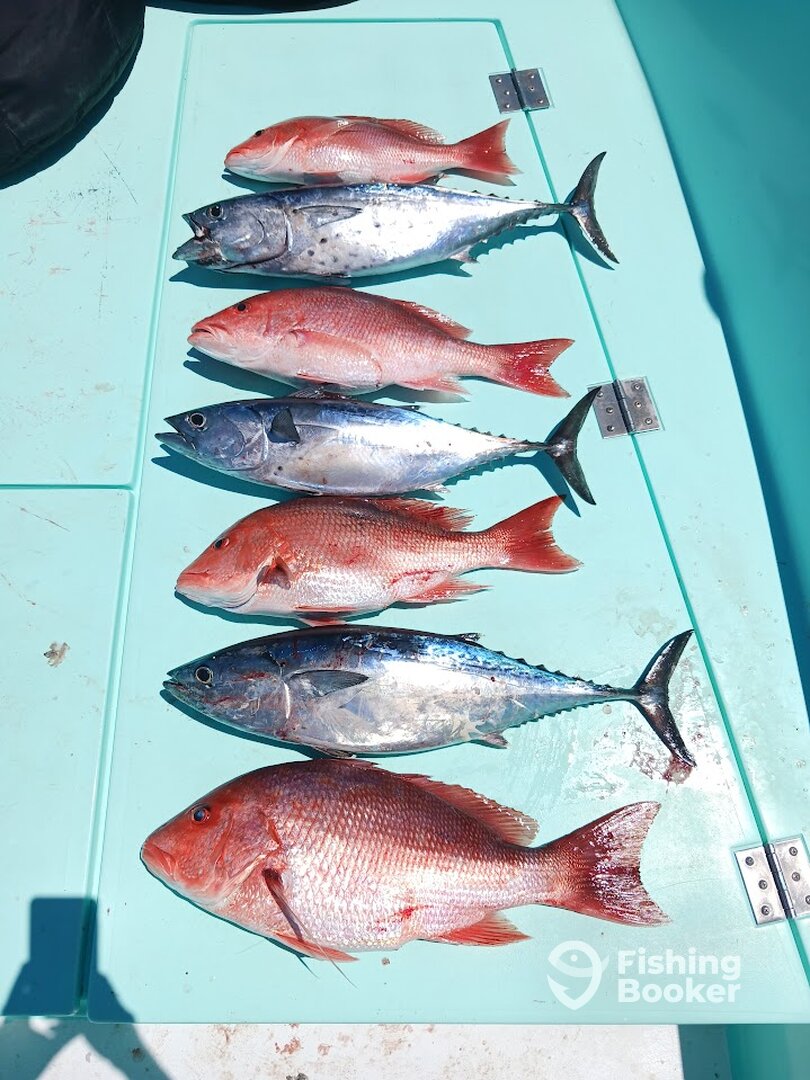 Destin Report Photo 0