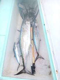 Destin Report Photo 1