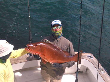 Great inshore action