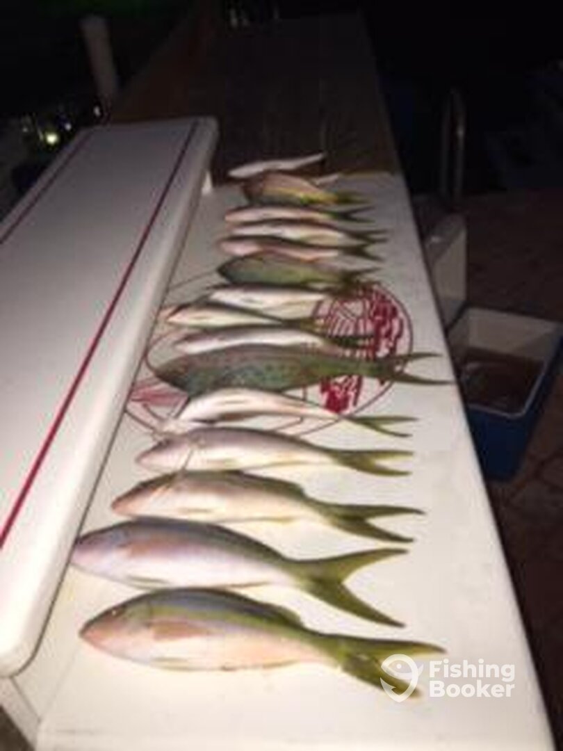 Islamorada Report Photo 0