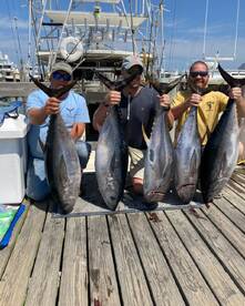 TUNA TUNA TUNA !!!!!