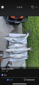 Galveston Report Photo 2