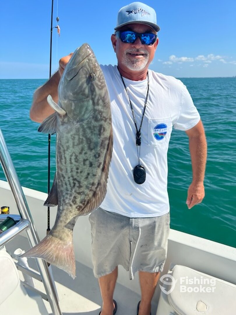 Bay Pines Report Photo 0