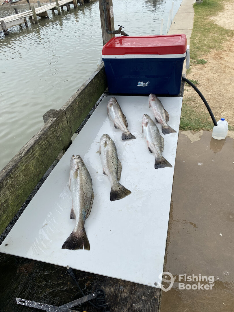 Galveston Report Photo 0