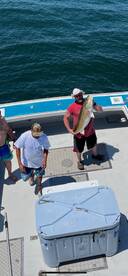 Virginia Beach Report Photo 1