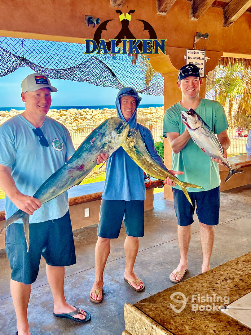 San Jose del Cabo Report Photo 0