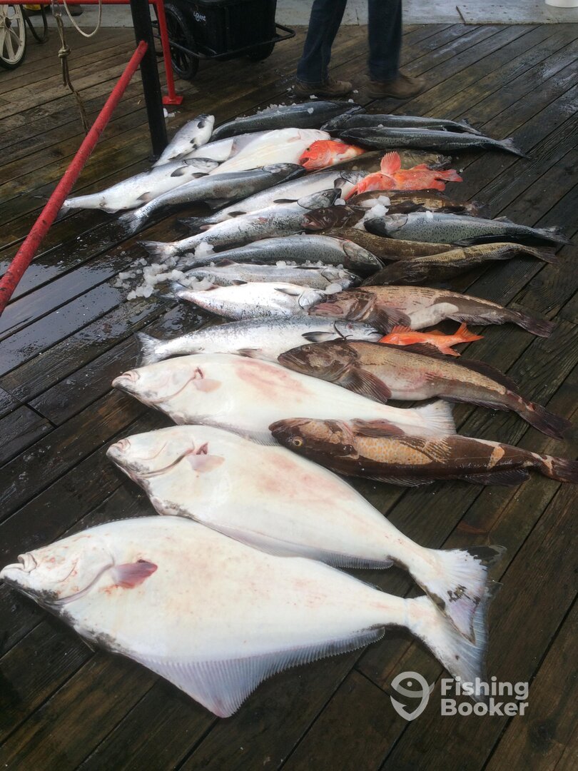 Teamed up with another guide to get this for our clients!! Great day!