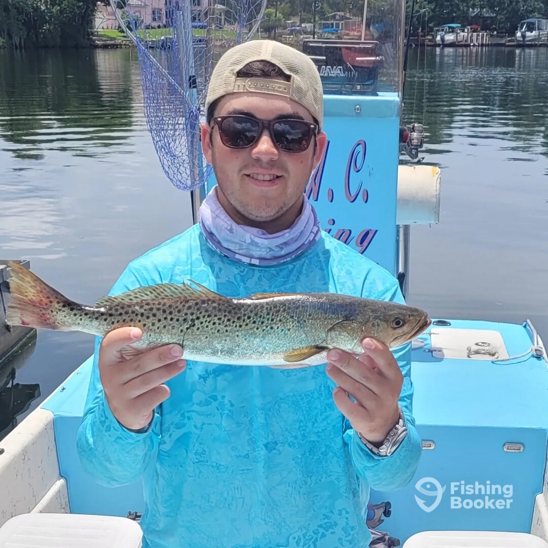 Crystal River Report Photo 0