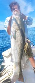 Fishing off the hook on the www.fishooke