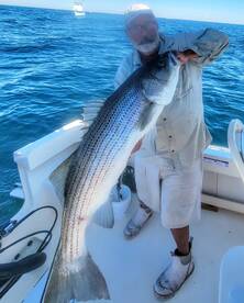 Montauk Report Photo 2