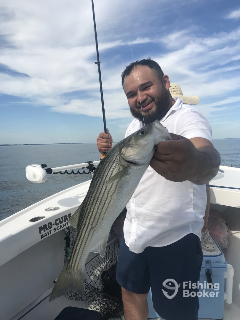 Chesapeake Beach Report Photo 0