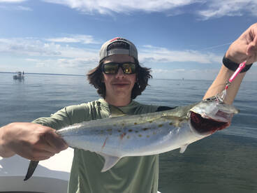 Chesapeake Beach Report Photo 1