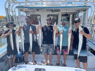 Virginia Beach Report Photo 1