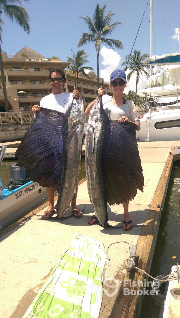 Puerto Vallarta Report Photo 0