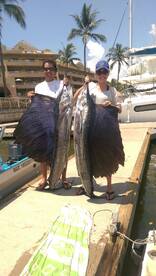 Big game fishing on full day sailfish