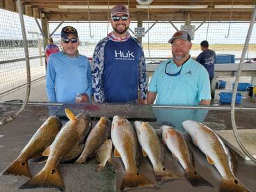 Matagorda Report Photo 1