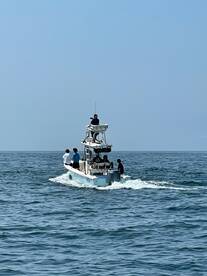 Light tackle striped bass , no trolling!