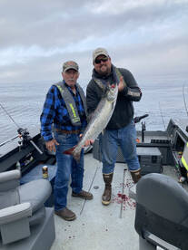 Fish are getting Bigger!