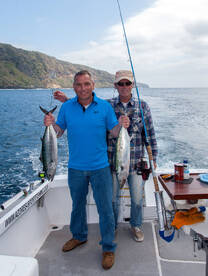 2 atlantic bonito on the same line
