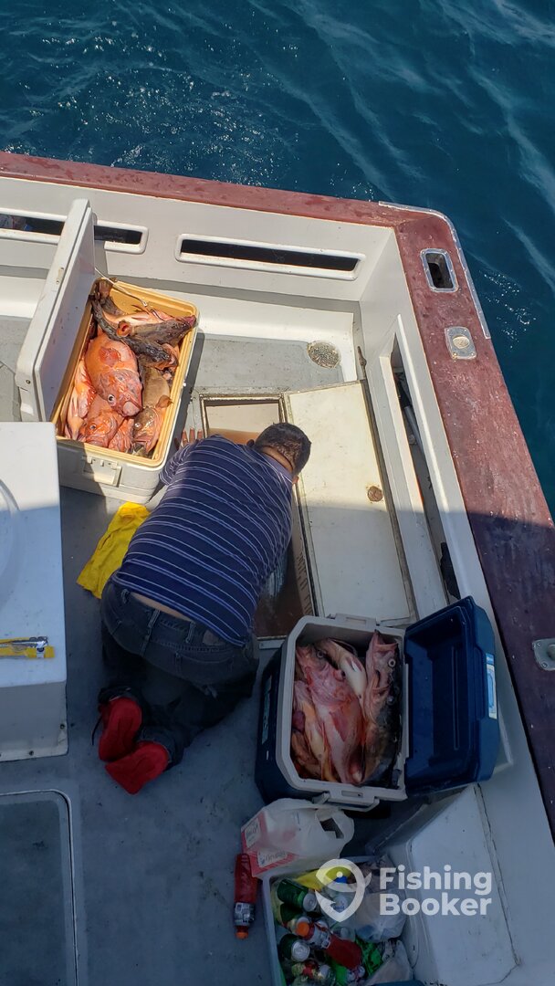 Ensenada Report Photo 0