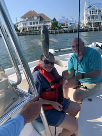 Ocean City Report Photo 1