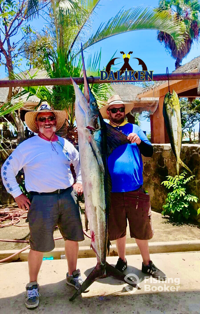 San Jose del Cabo Report Photo 0