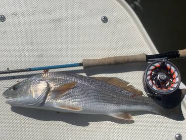Folly Beach Report Photo 1