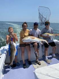 Red Drum Action