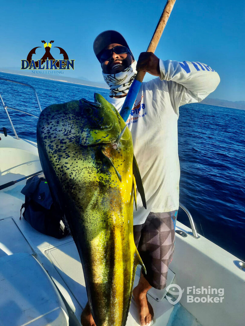 San Jose del Cabo Report Photo 0