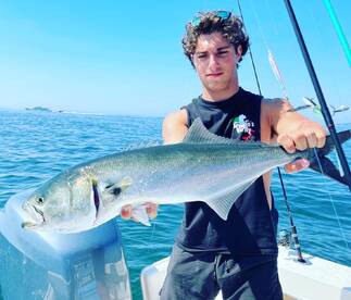 Great morning bass and big bluefish on p