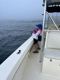 Narragansett Report Photo 1