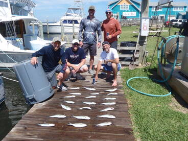 Hatteras Report Photo 1