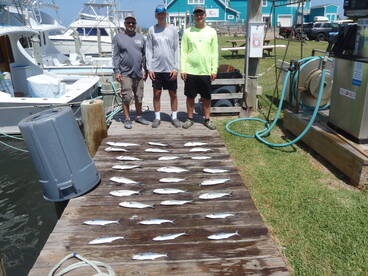 Hatteras Report Photo 2