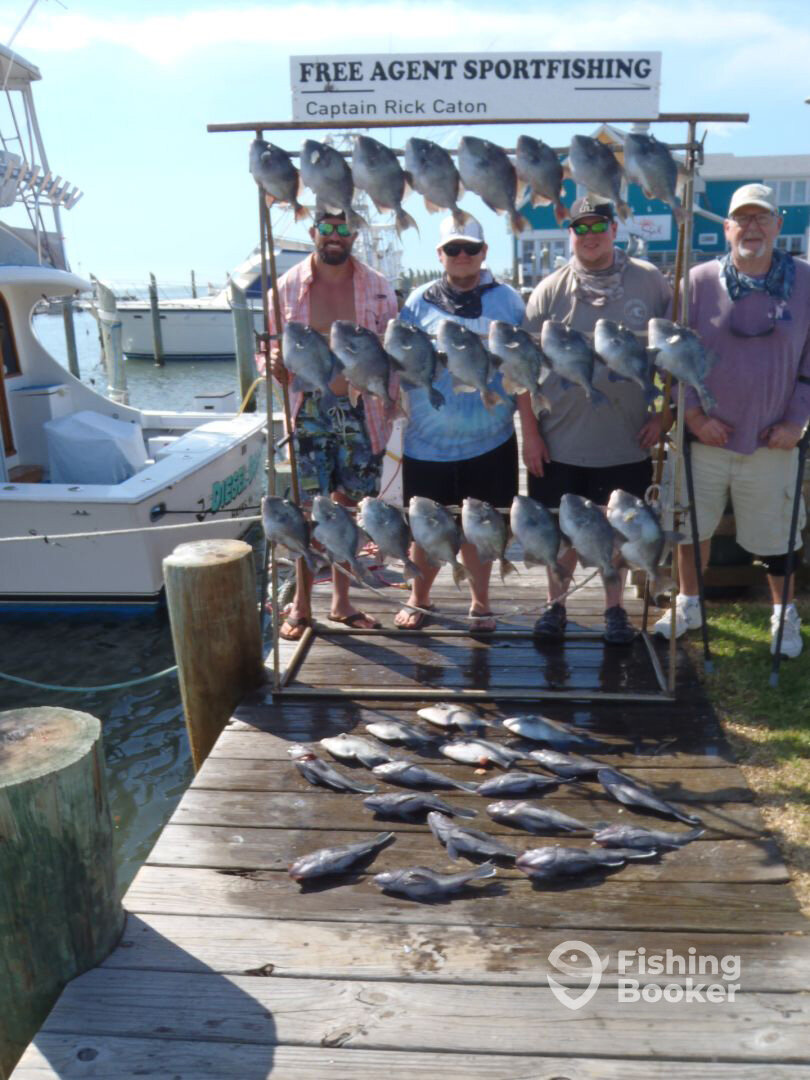 Hatteras Report Photo 0