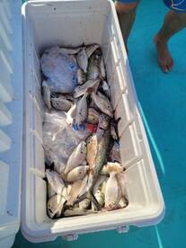 Chesapeake Beach Report Photo 2