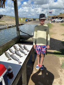 Galveston Report Photo 1