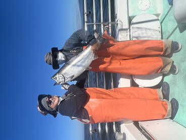 San Francisco Report Photo 1