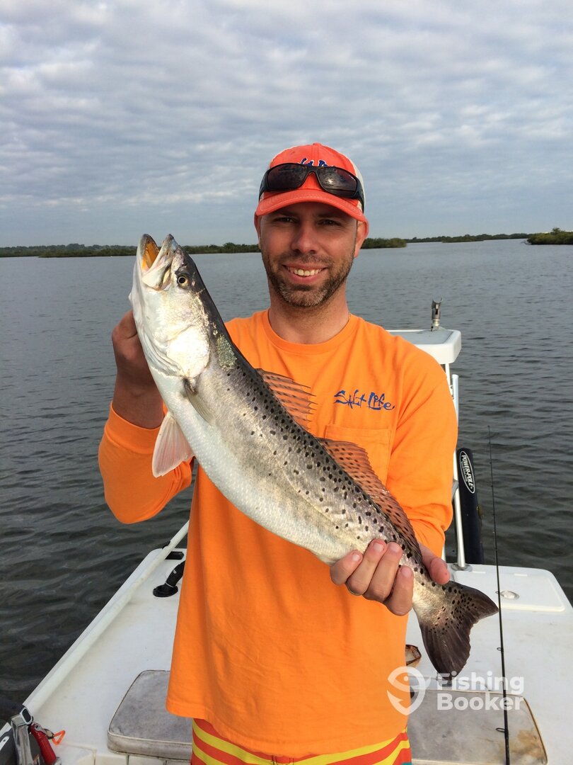 New Smyrna Beach Report Photo 0
