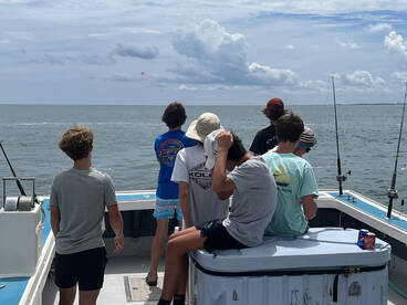 Virginia Beach Report Photo 2