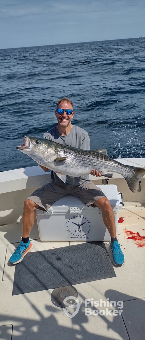 Montauk Report Photo 0