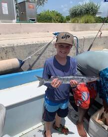 Barracuda time.