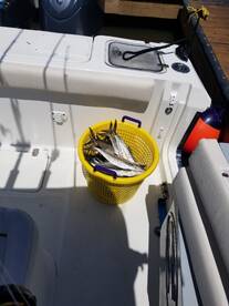 Little River Report Photo 1