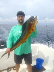 Mahi! 