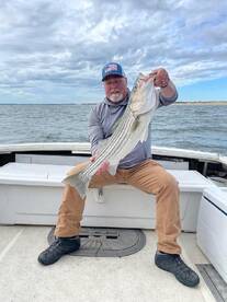 Cows are still around