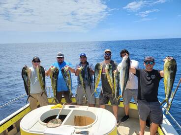 AZ Miners strike gold ! 