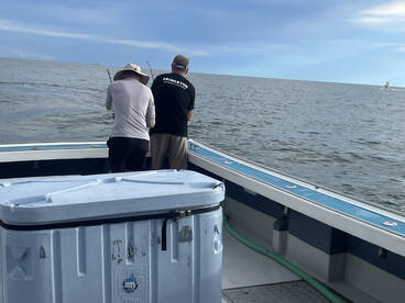 Beautiful Morning, With Lots Of Action-R