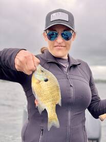 Delavan Report Photo 3