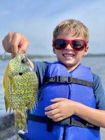 Delavan Report Photo 2