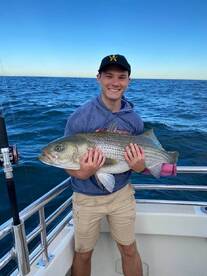 Montauk Report Photo 2